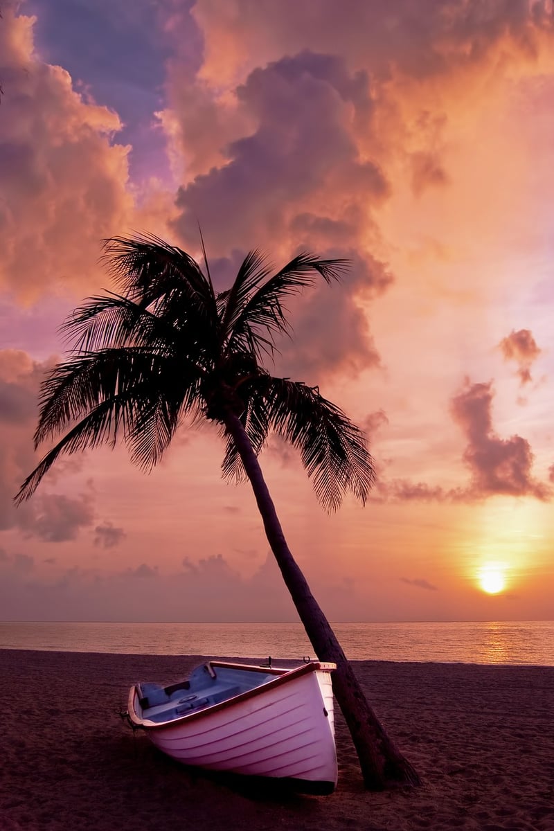 Palm Bay Resort Beach Venue