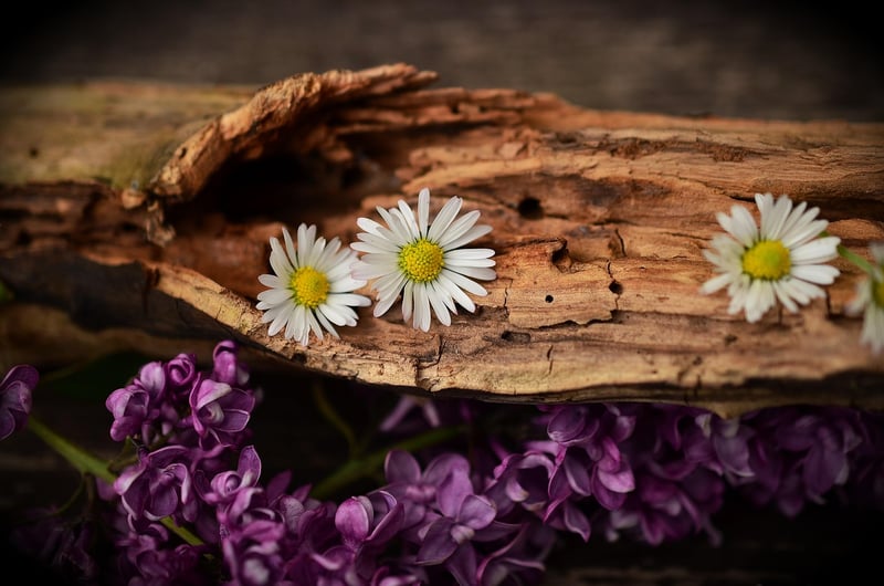 Natural Materials Decor